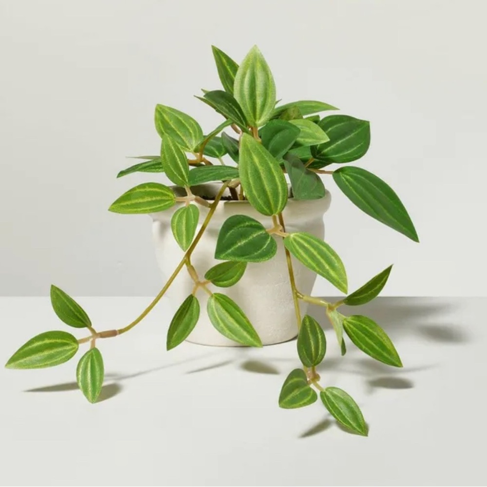8” Mini Faux Ivy Plant - Hearth & Hand with Magnolia